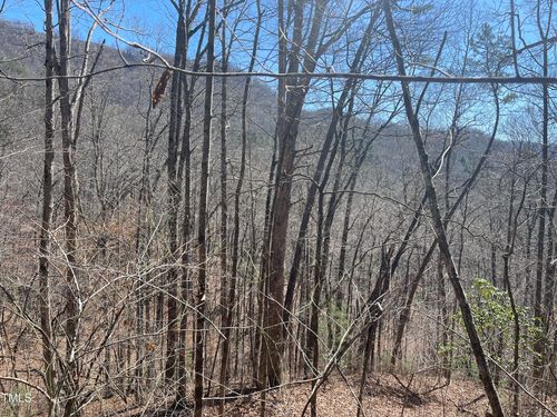 0 Bear Cove Road, Bryson City, NC, 28713 | Card Image