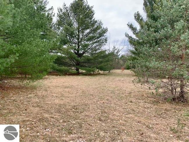 1871 Pine Tree, House other with 2 bedrooms, 1 bathrooms and null parking in Grawn MI | Image 20