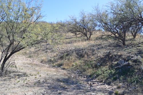 9-989 Bird Ln, Rio Rico, AZ, 85648 | Card Image