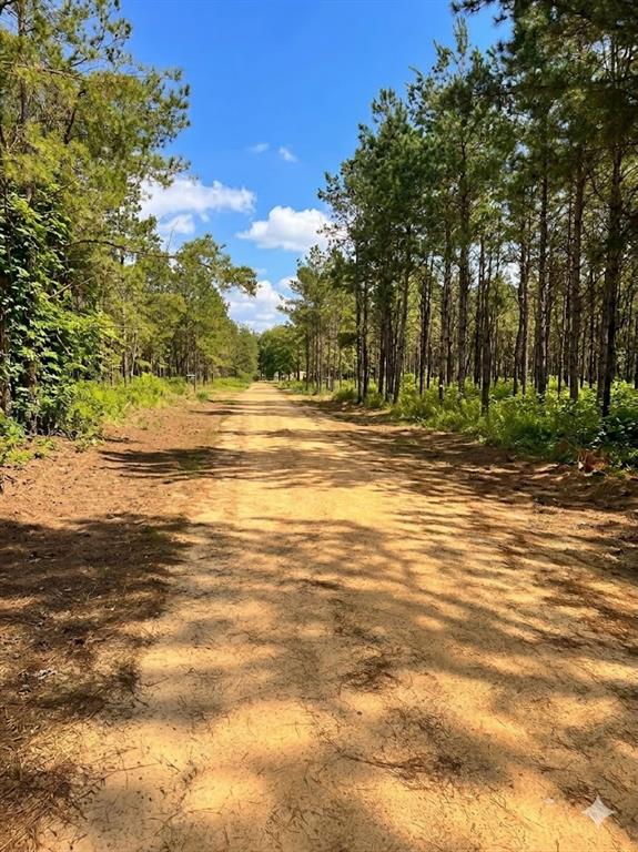 Land in Broken Bow 4