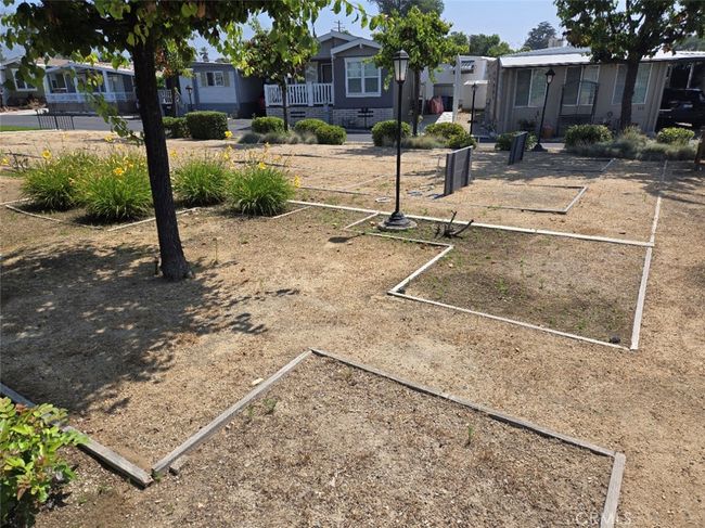 Community horse shoes | Image 29