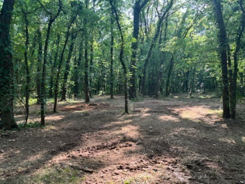 Land in Murfreesboro 5