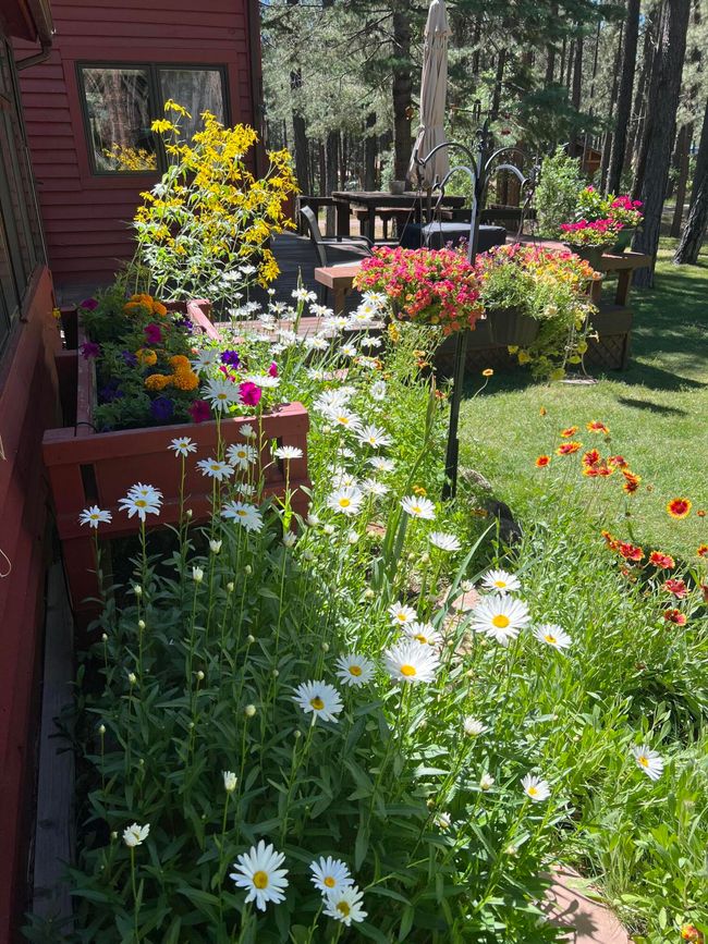 367 Horseshoe Loop, House other with 2 bedrooms, 2 bathrooms and null parking in Jemez Springs NM | Image 73