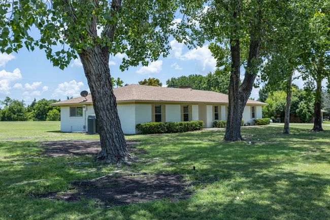 Mature trees for shaded yard~ | Image 4