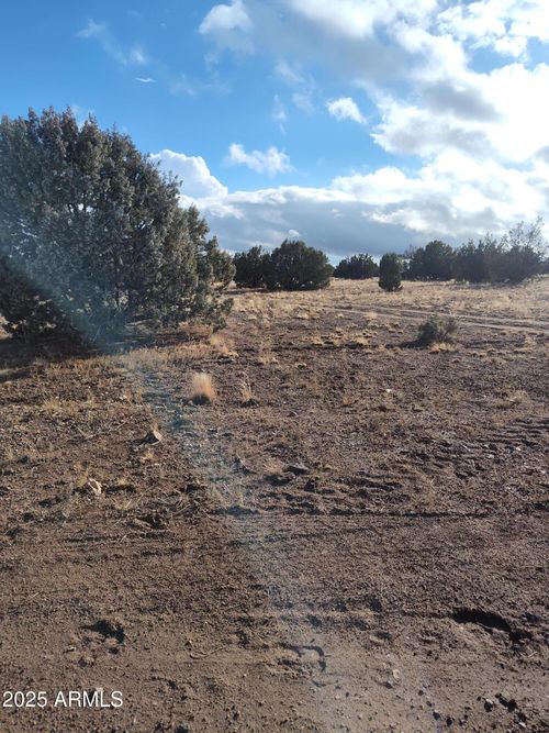 453-00000 N Deliverance Rd, Seligman, AZ, 86337 | Card Image