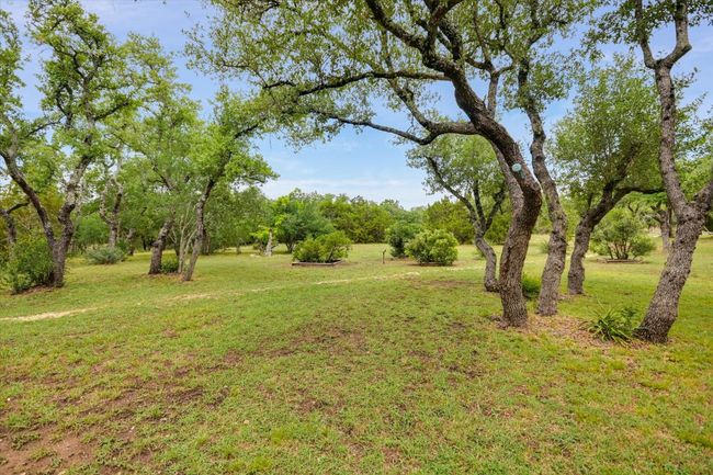 Nature abounds on this 1.46-acre lot. | Image 4