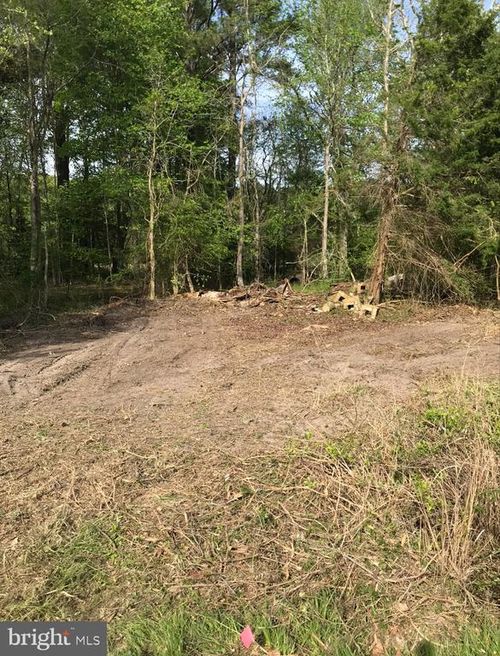 0 Capitola Rd, TYASKIN, MD, 21865 | Card Image