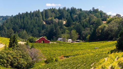 18450 Rockpile Road, Geyserville, CA, 95441 | Card Image