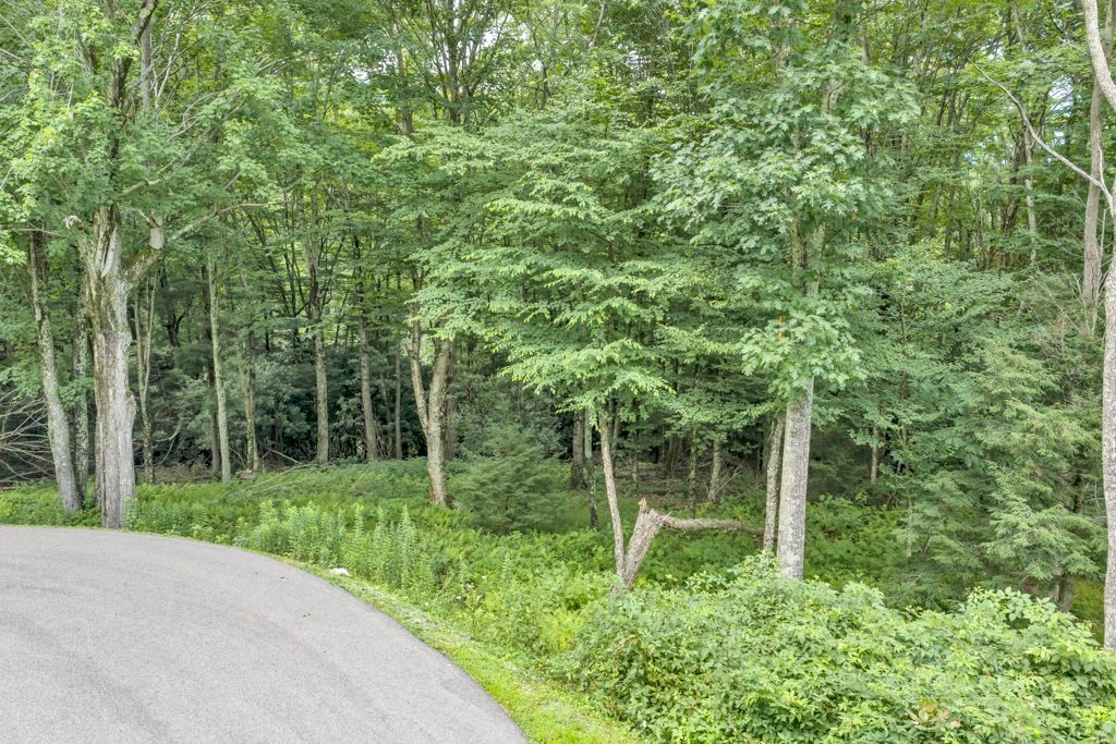 Land in Banner Elk 2