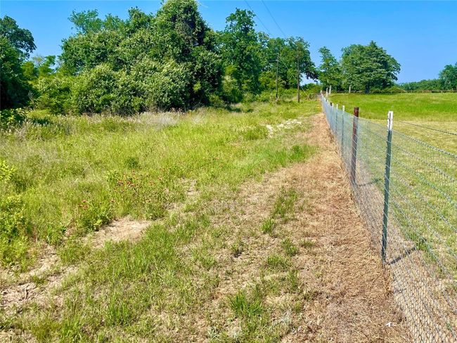 9211 Stetson Drive, Home with 0 bedrooms, 0 bathrooms and null parking in Hilltop Lakes TX | Image 8