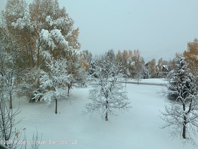 202 - 202 Evans Rd, Condo with 1 bedrooms, 1 bathrooms and 1 parking in Basalt CO | Image 20