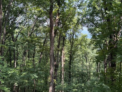 LT M177 Walnut Rdg, Ellijay, GA, 30536 | Card Image