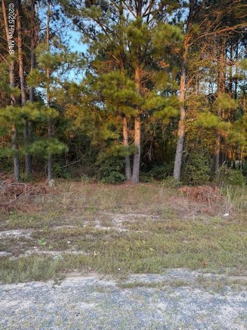 Tbd Cognac Rd, Hamlet, NC, 28345 | Card Image