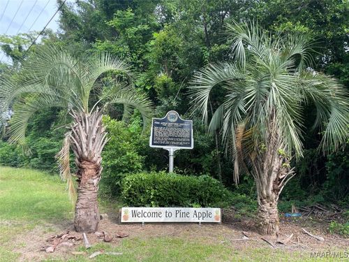 15980 Highway 10 E, Pine Apple, AL, 36768-3300 | Card Image