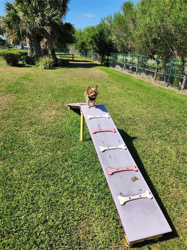 Play ramp | Image 44