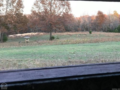 47 Sturkie Rd, Salem, AR, 72576 | Card Image