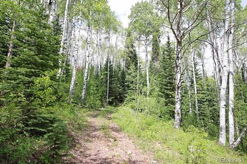 1390 Overlook Dr, Collbran, CO, 81624 | Card Image