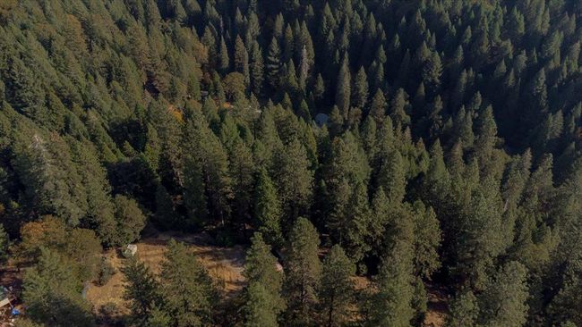 5727 Starkes Grade Rd, Home with 0 bedrooms, 0 bathrooms and null parking in Pollock Pines CA | Image 27