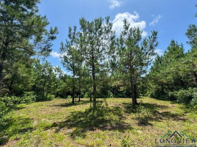 0000 Cr 1782, Home with 0 bedrooms, 0 bathrooms and null parking in Linden TX | Image 9