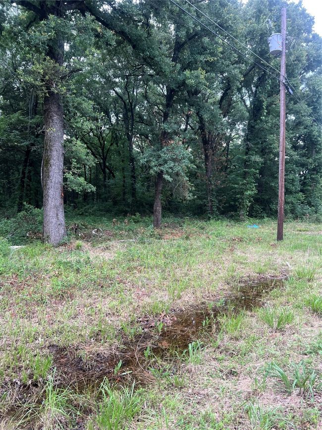 View of wooded area | Image 7