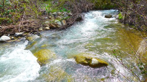 000 French Gulch Rd, French Gulch, CA, 96033 | Card Image