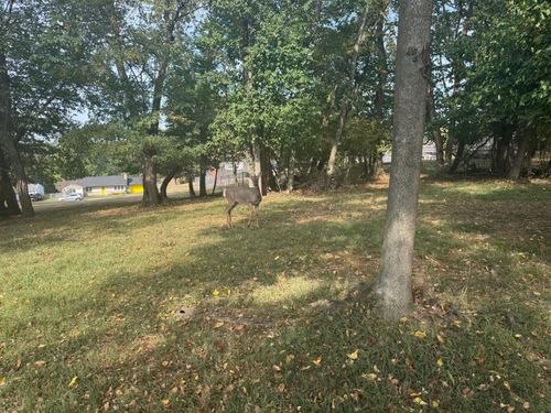 36 Harding Rd, Zanesville, OH, 43701 | Card Image
