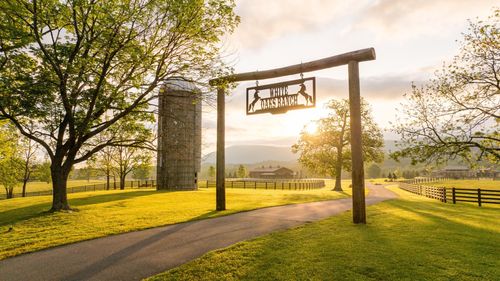 6971 W Cove Rd, Chickamauga, GA, 30707-2521 | Card Image