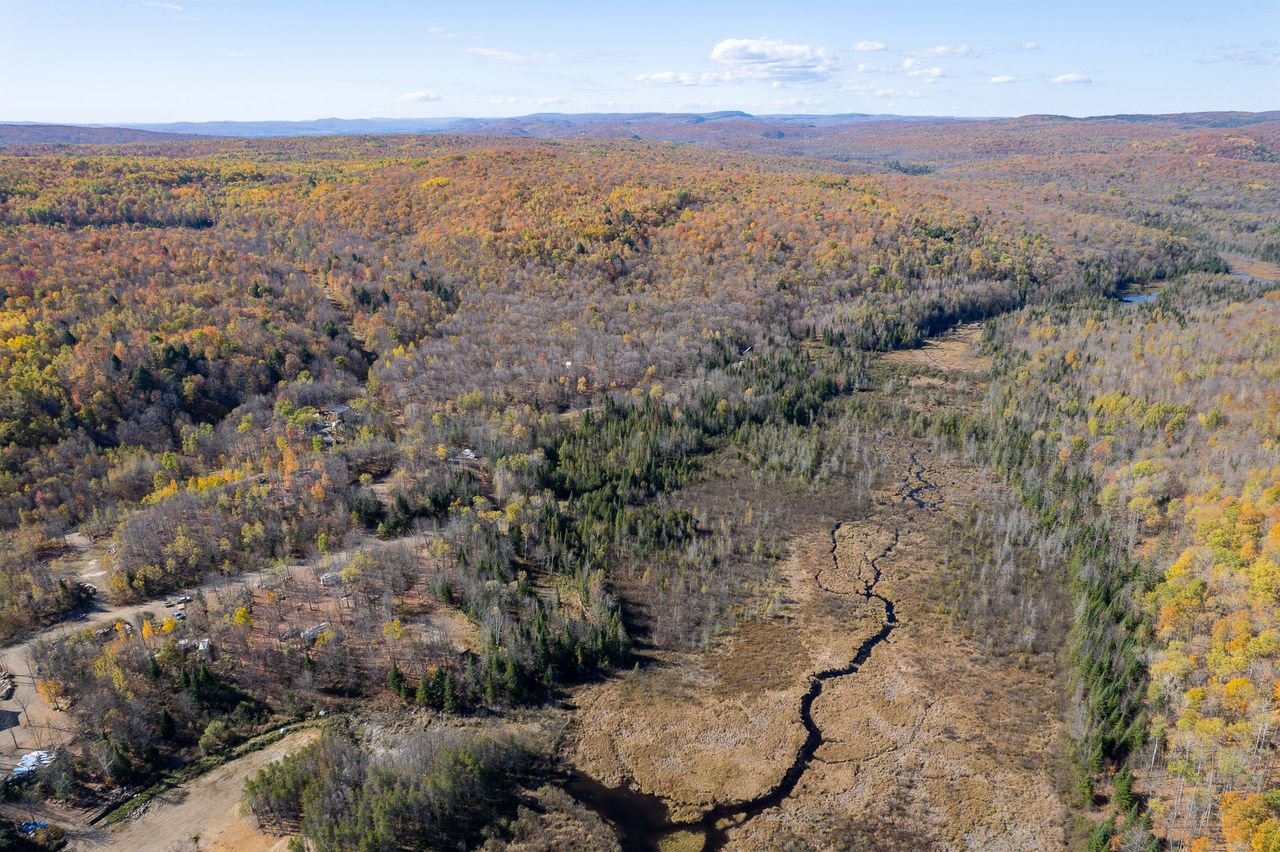 Land in Saint-Didace 4