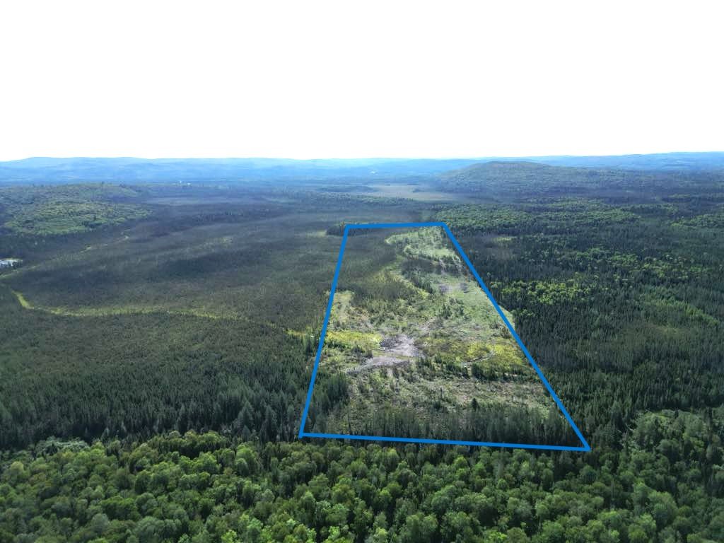 Land in Sainte-Anne-du-Lac 5