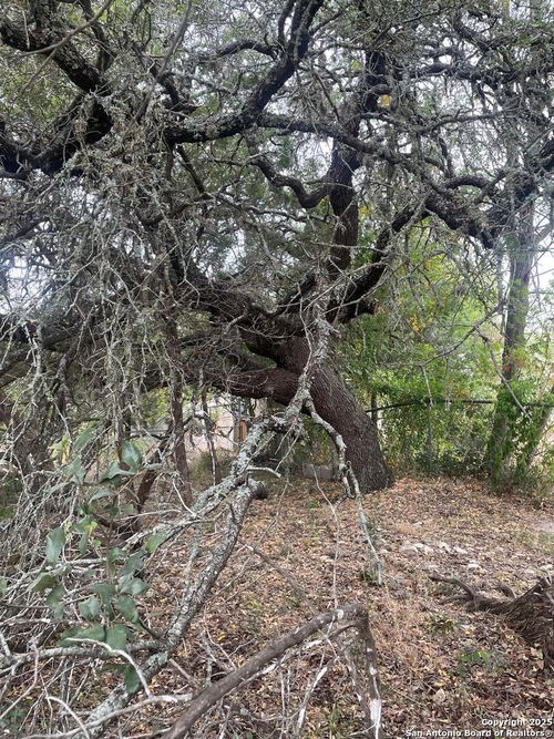 749 Canyon Circle Dr, Canyon Lake, TX, 78133-2833 | Card Image