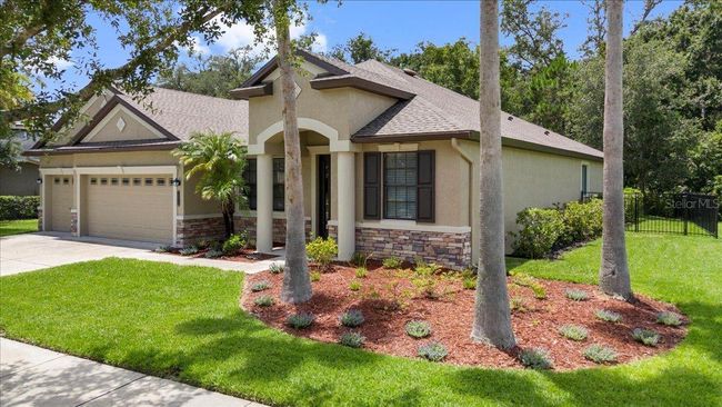 20020 Outpost Point Dr, House other with 4 bedrooms, 3 bathrooms and null parking in TAMPA FL | Image 67