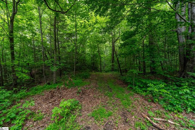76 Southview Ledge Rd, Home with 0 bedrooms, 0 bathrooms and null parking in Landrum SC | Image 13