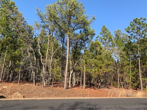 1124 Chicken Plant Rd, Aberdeen, NC, 28315-5603 | Card Image