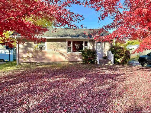 113 E 7th Avenue A, Colona, IL, 61241-9611 | Card Image