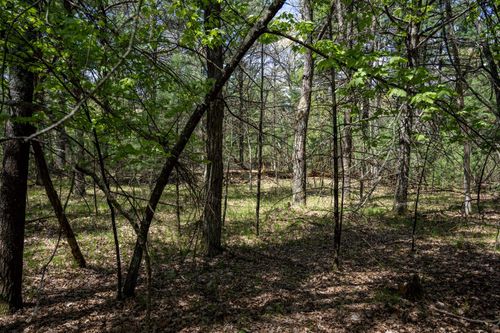 Lot 39 S Badger Ln, Arkdale, WI, 54613 | Card Image