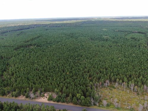 40 AC Buttercup Ave N Acres, BIG FLATS, WI, 54613 | Card Image