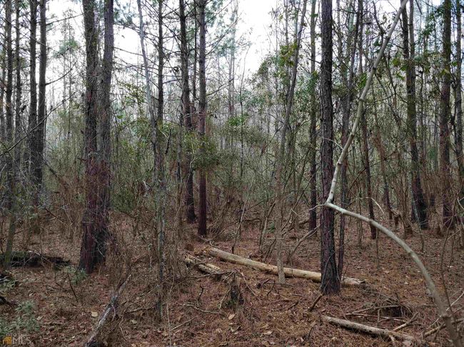 2757 Us Highway 1 N, Home with 0 bedrooms, 0 bathrooms and null parking in swainsboro GA | Image 33