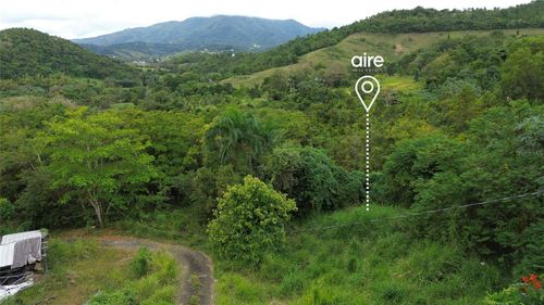 Lot 7 Km 61 PR-3 Int Daguao Ward, Ceiba, PR, 00735 | Card Image