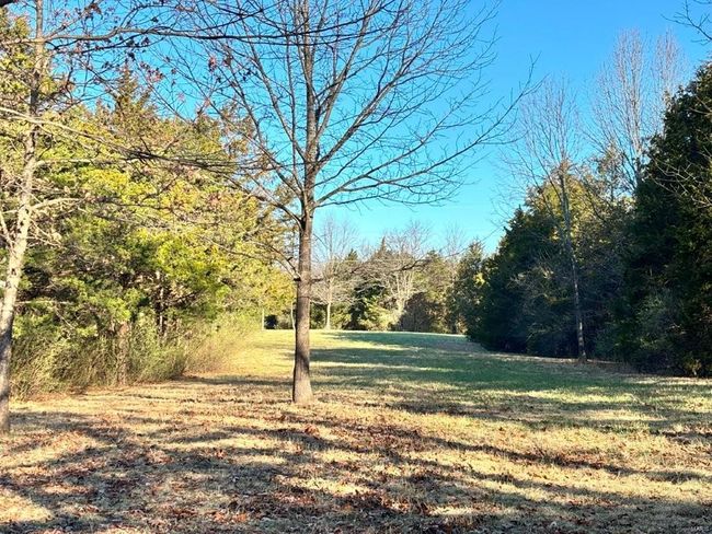 View of yard featuring a view of trees | Image 27