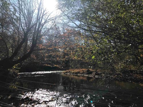 00 Old Weatherford Creek Rd, Lutts, TN, 38471 | Card Image