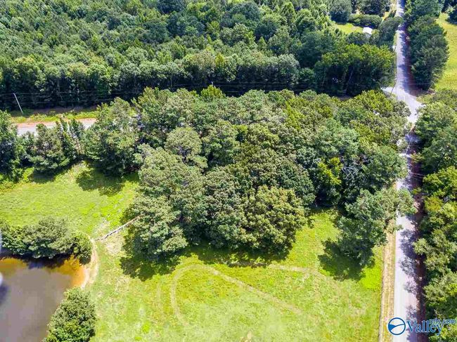 6985 Highway 53, Home with 0 bedrooms, 0 bathrooms and null parking in Toney AL | Image 8