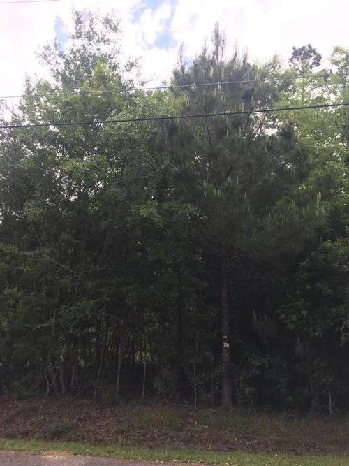 0 Lakeside Cv, Carriere, MS, 39426 | Card Image