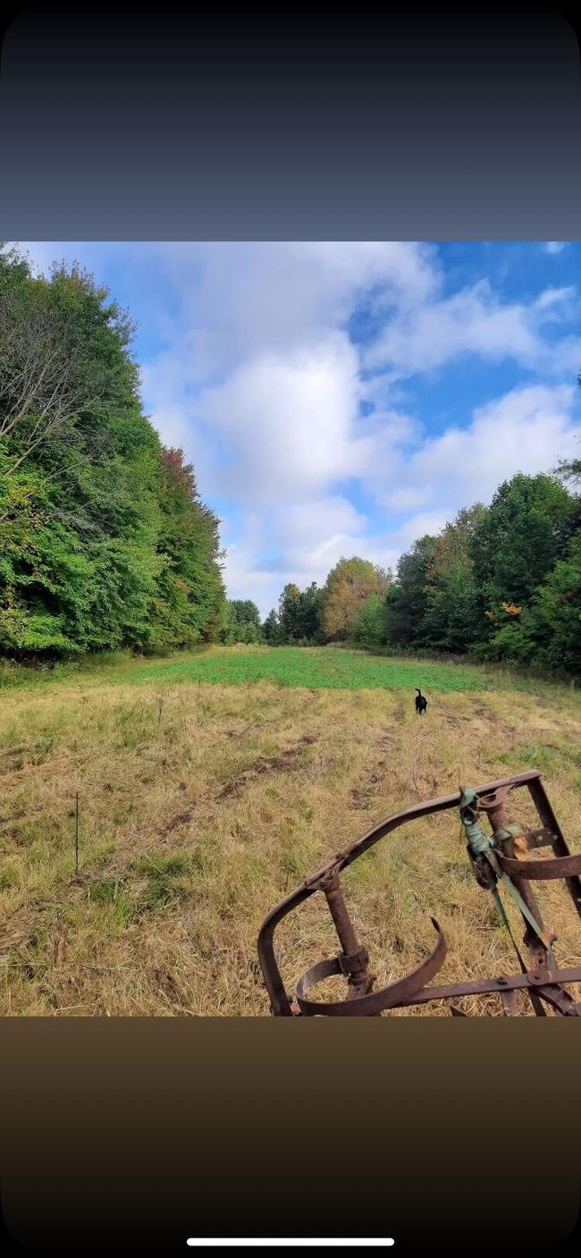 00000 County Road 673, Home with 0 bedrooms, 0 bathrooms and null parking in Lawrence MI | Image 14