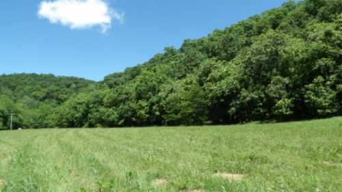 0 Brimstone Creek Rd, Moss, TN, 38575 | Card Image
