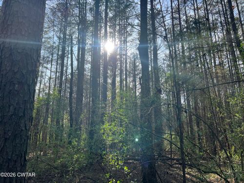 116 Zara Spook Dr Lot 139, Cedar Grove, TN, 38321 | Card Image