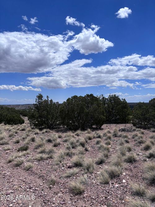 1-71 Gila Drive, Concho, AZ, 85924 | Card Image