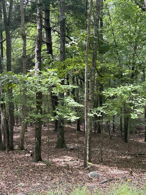 1.5 Liberty Hill Rd, Morganton, GA, 30560-3183 | Card Image