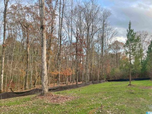 2-472 Saddlewood Cove, COLUMBIANA, AL, 35051 | Card Image