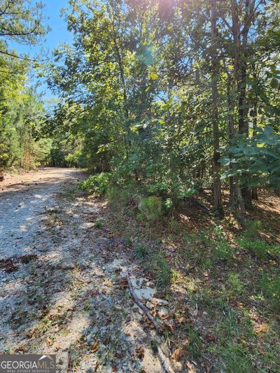 LOT-6 - 0 Blackberry Bend, Home with 0 bedrooms, 0 bathrooms and null parking in Elberton GA | Image 3