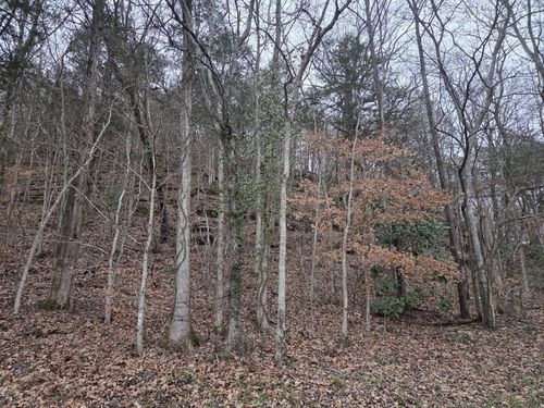 0 Upper Brush Creek Rd, Linden, TN, 37096 | Card Image